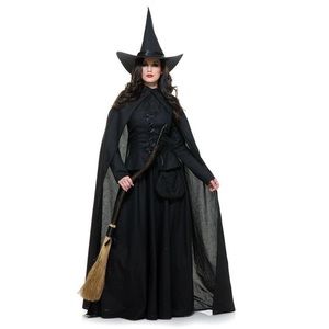 Fantastic Witch Costume for Adults